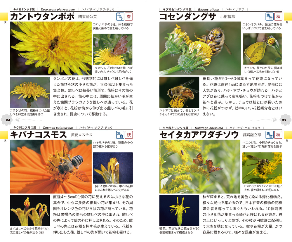 昆虫の集まる花ハンドブック