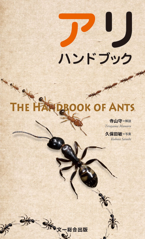 アリハンドブック