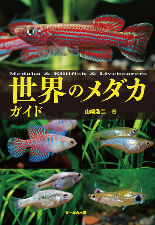 世界のメダカガイド 世界のメダカガイド