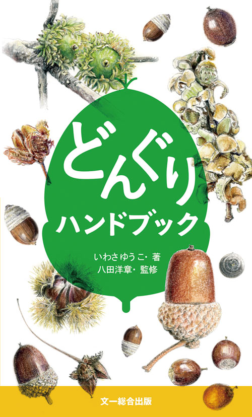 【絶版】「図鑑 日本のワシタカ類」文一総合出版