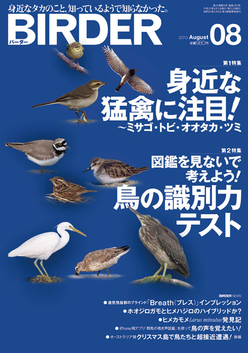 猛禽類、ハト、水鳥マニュアル 世界猛禽カタログ (どうぶつ出版・飼育ガイド 1) | パンク町田