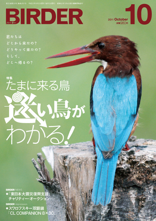 日本の鳥　写真集 日本の鳥 : 写真集(バーダー編集部 編) / あじさい堂書店 / 古本