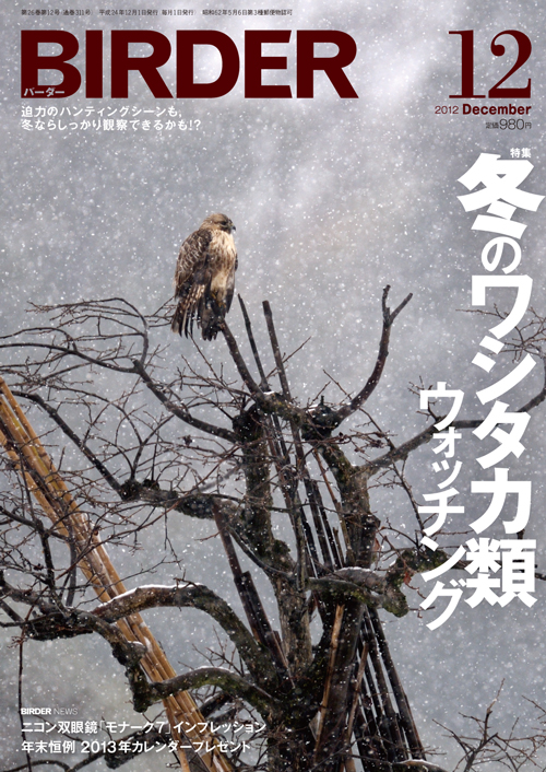 鳥類学 小学館 鳥類の図鑑 学習図鑑シリーズ4 1962年版 箱付 - メルカリ