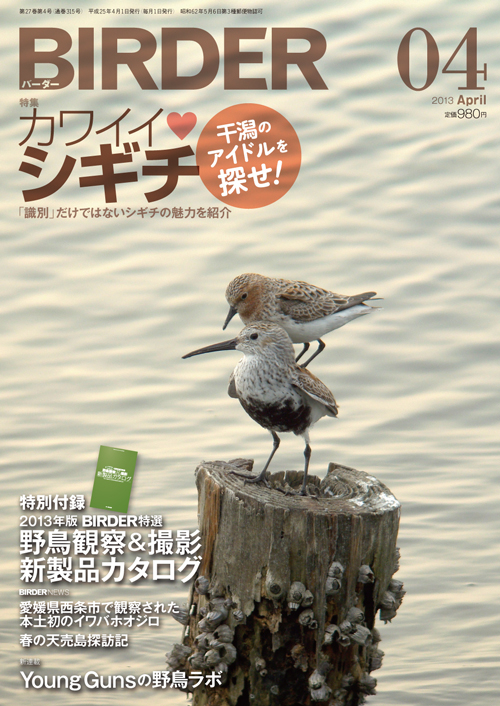 BIRDER