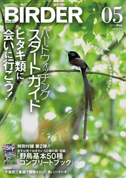 BIRDER バーダー（月刊日本の生物） 441冊 37年分