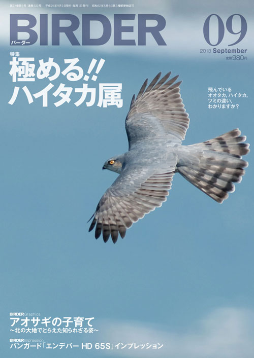 BIRDER