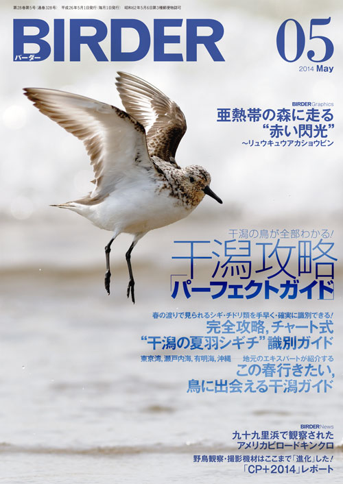 BIRDER