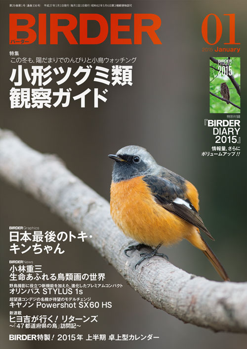 BIRDER