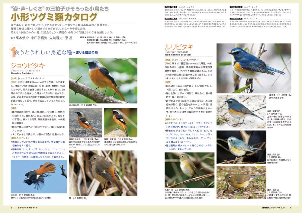 BIRDER