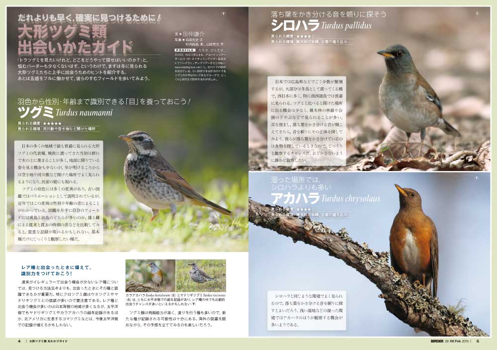 BIRDER