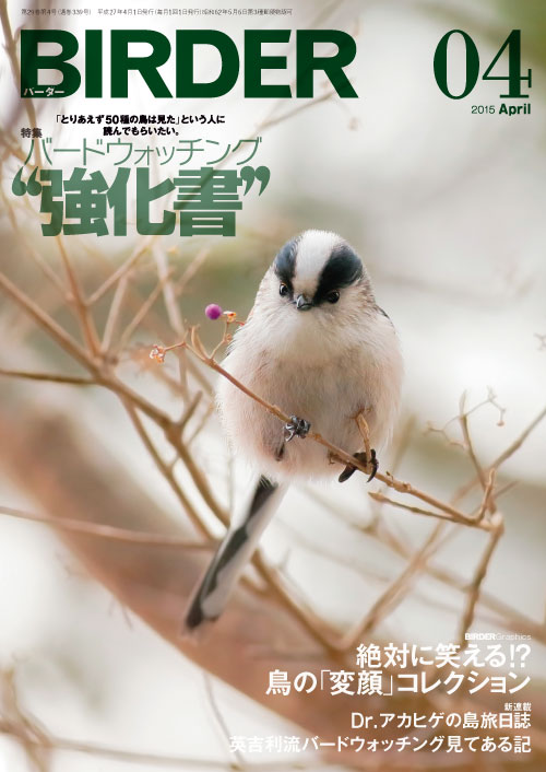 BIRDER
