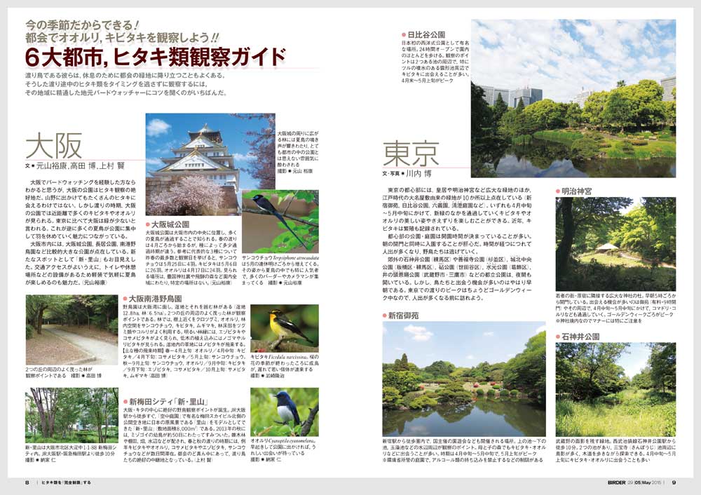 BIRDER