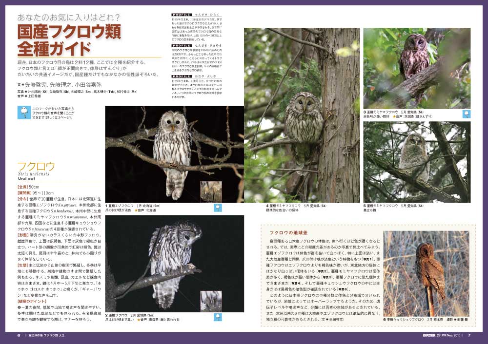 BIRDER