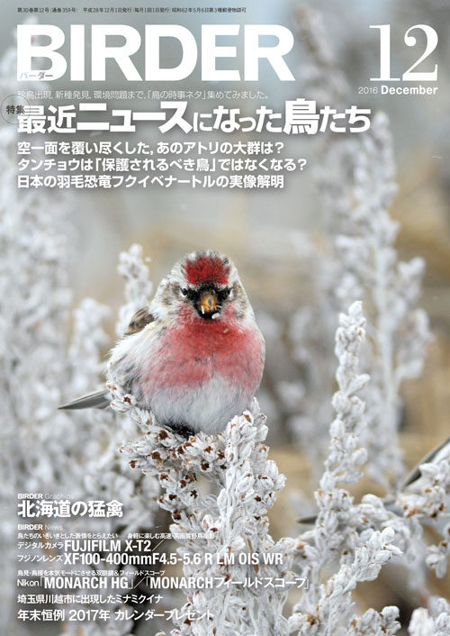 BIRDER