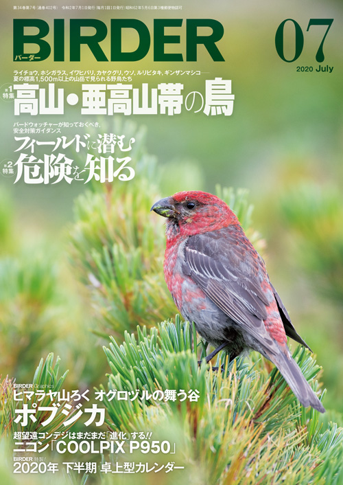 完成品 C07-034 Birder 12 December 2003 特集 渡り鳥の休息地 越冬地 の今 文一総合出版