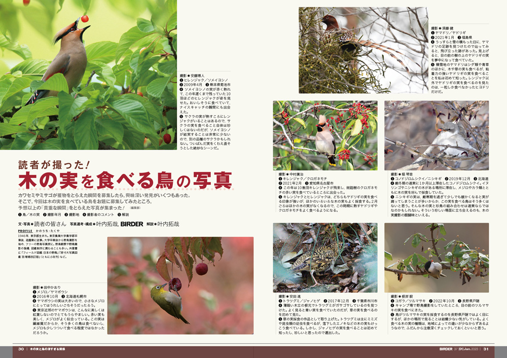 完成品 C07-034 Birder 12 December 2003 特集 渡り鳥の休息地 越冬地 の今 文一総合出版