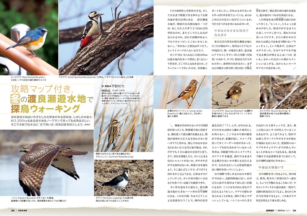 完成品 C07-034 Birder 12 December 2003 特集 渡り鳥の休息地 越冬地 の今 文一総合出版