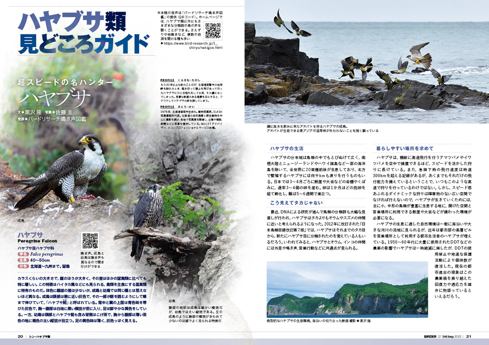 BIRDER