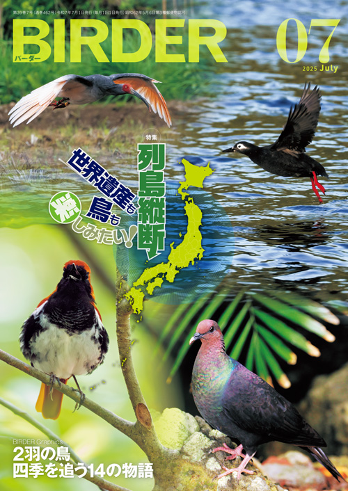 BIRDERŐV