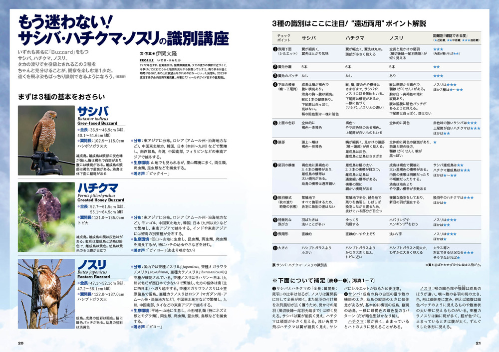 幻獣日本ホームページ文章 モノノケマンダラ 柳生忠平ポストカードブック 瀬戸内人 妖怪絵描