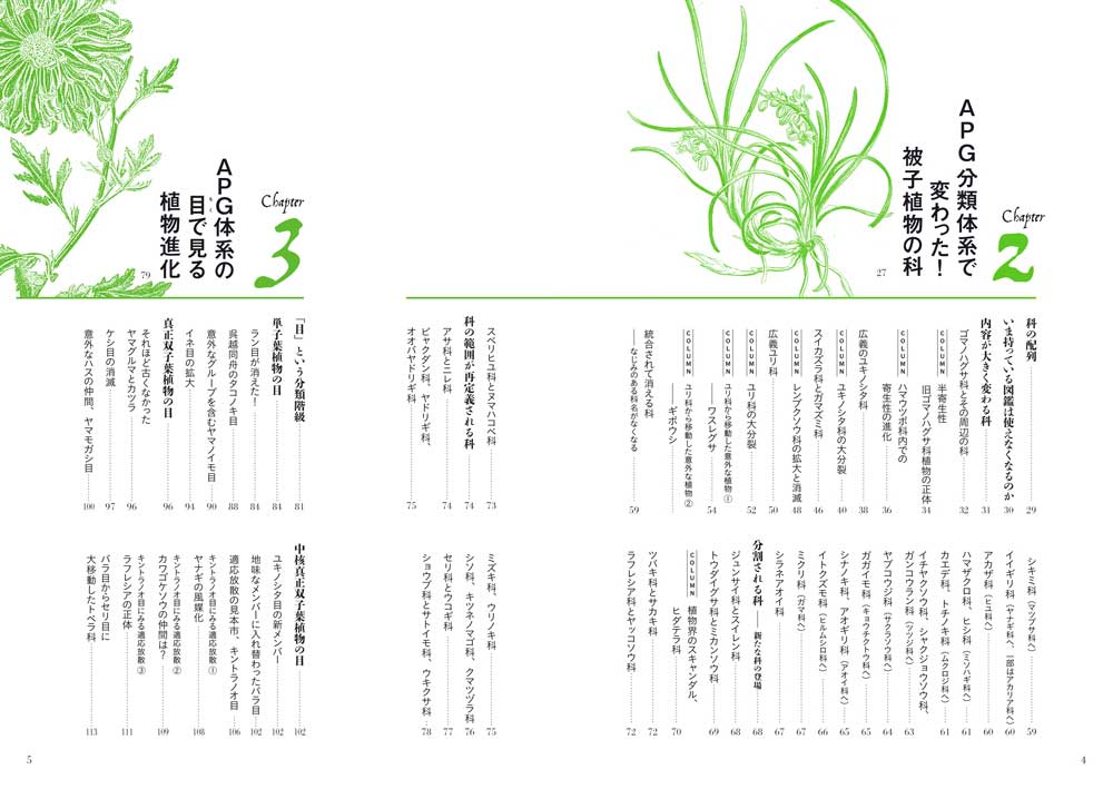 APG植物分類体系