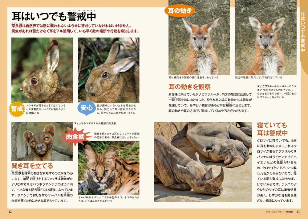 Zooっとたのしー！動物園