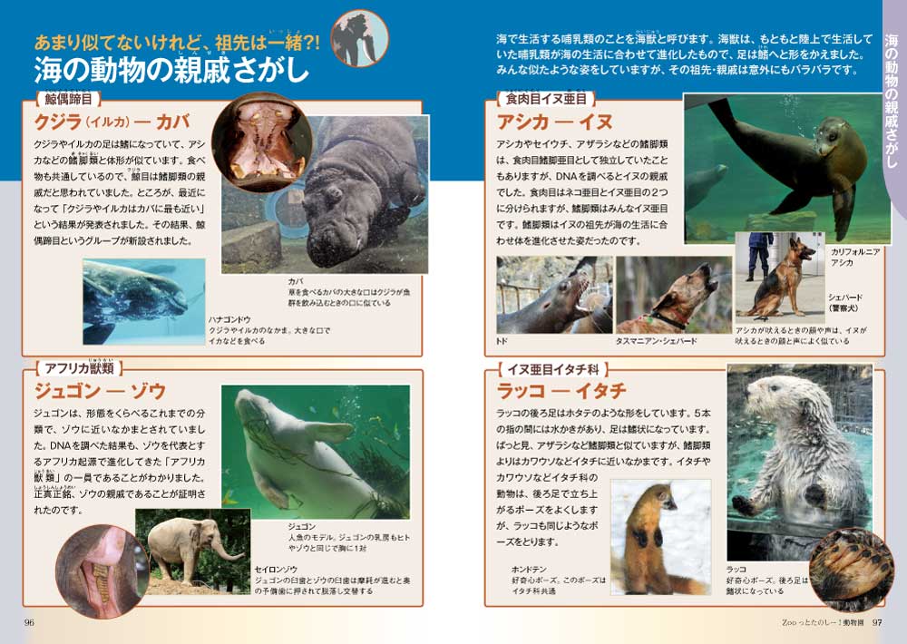 Zooっとたのしー！動物園