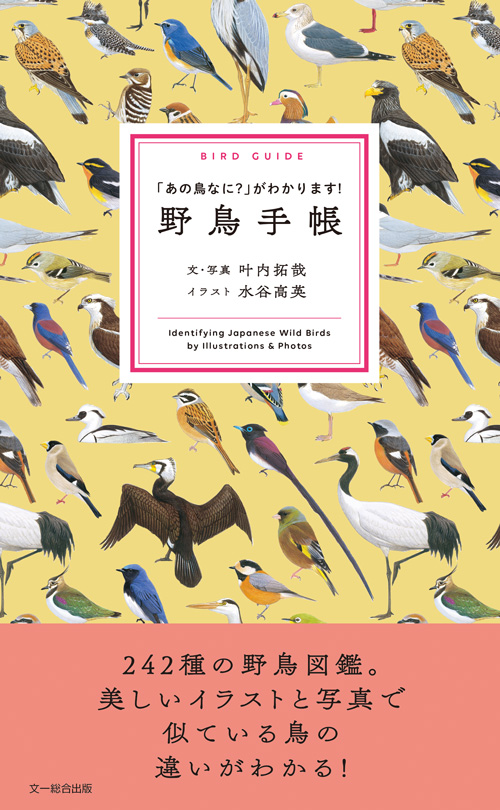 【絶版】「図鑑 日本のワシタカ類」文一総合出版