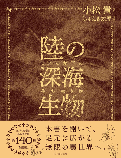 【絶版】「図鑑 日本のワシタカ類」文一総合出版