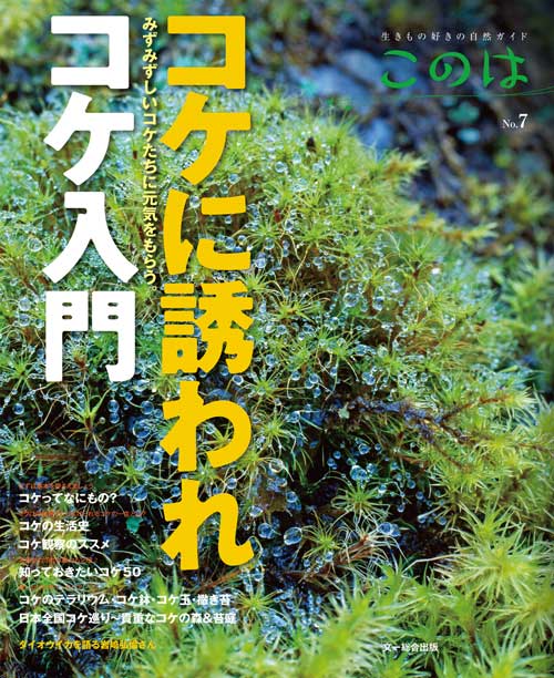 コケに誘われコケ入門