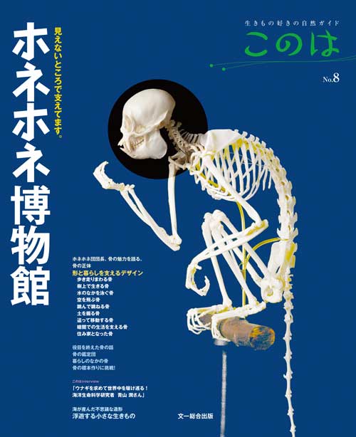 動物の骨 ホネホネ博物館