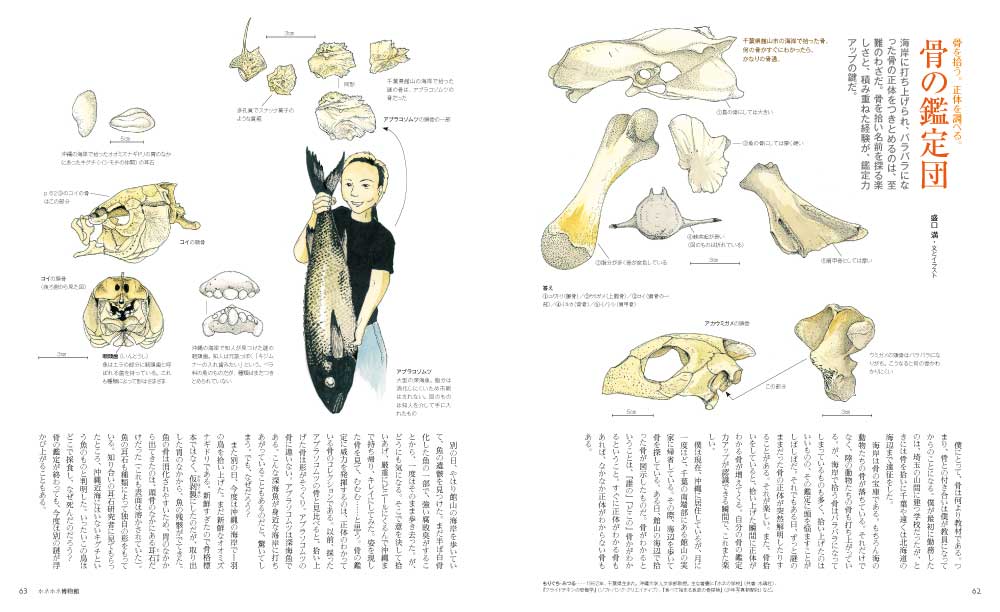 ホネホネ博物館