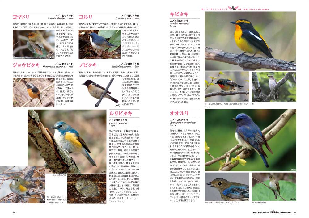 有野契章　富士に花鳥　8号サイズ 富士山バードウォッチングガイド