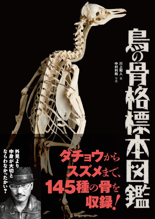 鳥の骨格標本図鑑 - Bird Skeletal specimen picture book.