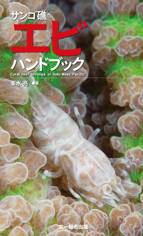 サンゴ礁のエビハンドブック