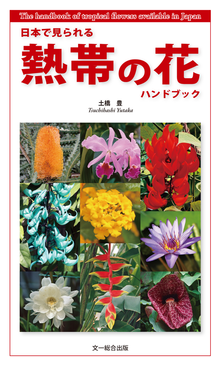 日本で見られる熱帯の花ハンドブック