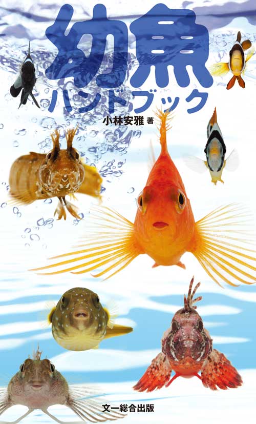 幼魚ハンドブック