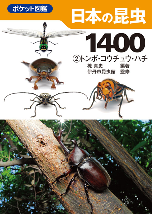 日本の昆虫1400