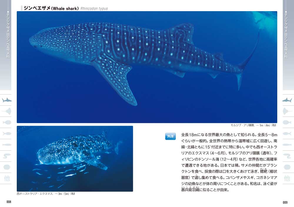 日本の海水魚466 第2版