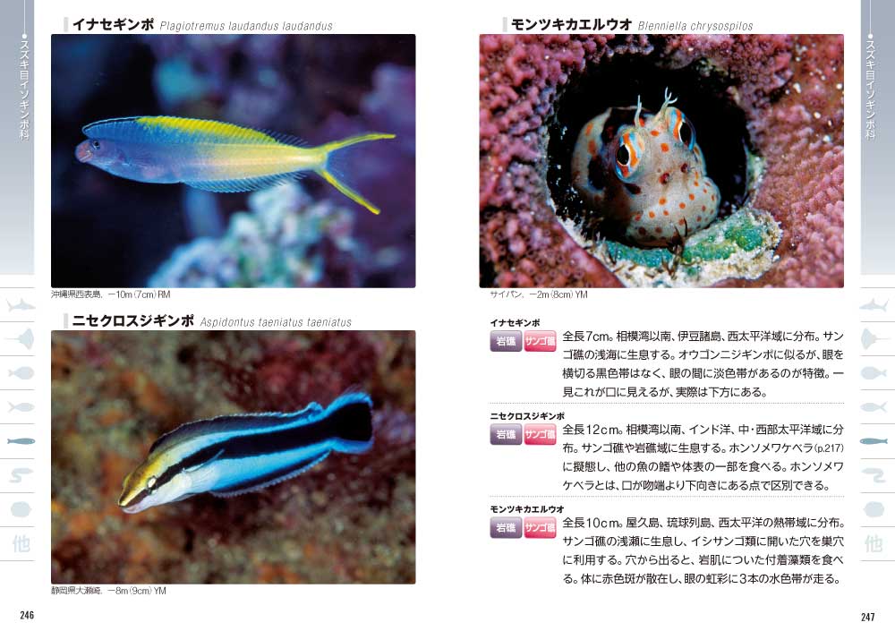 日本の海水魚466 第2版