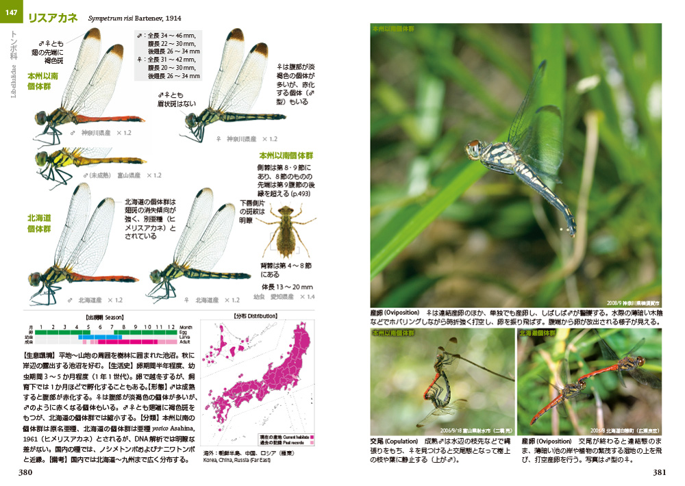 日本のトンボ 改訂版（改訂第2版）