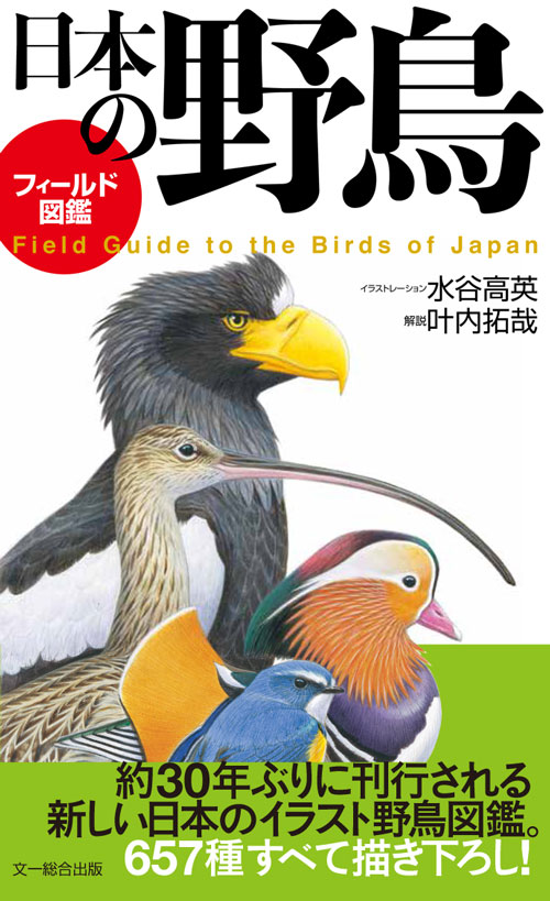 フィールド図鑑 日本の野鳥