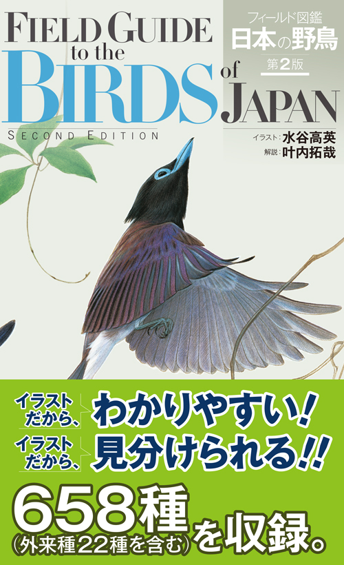 フィールド図鑑　日本の野鳥